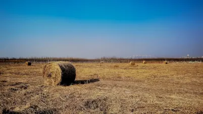 Kakadu Casino Aplicación móvil